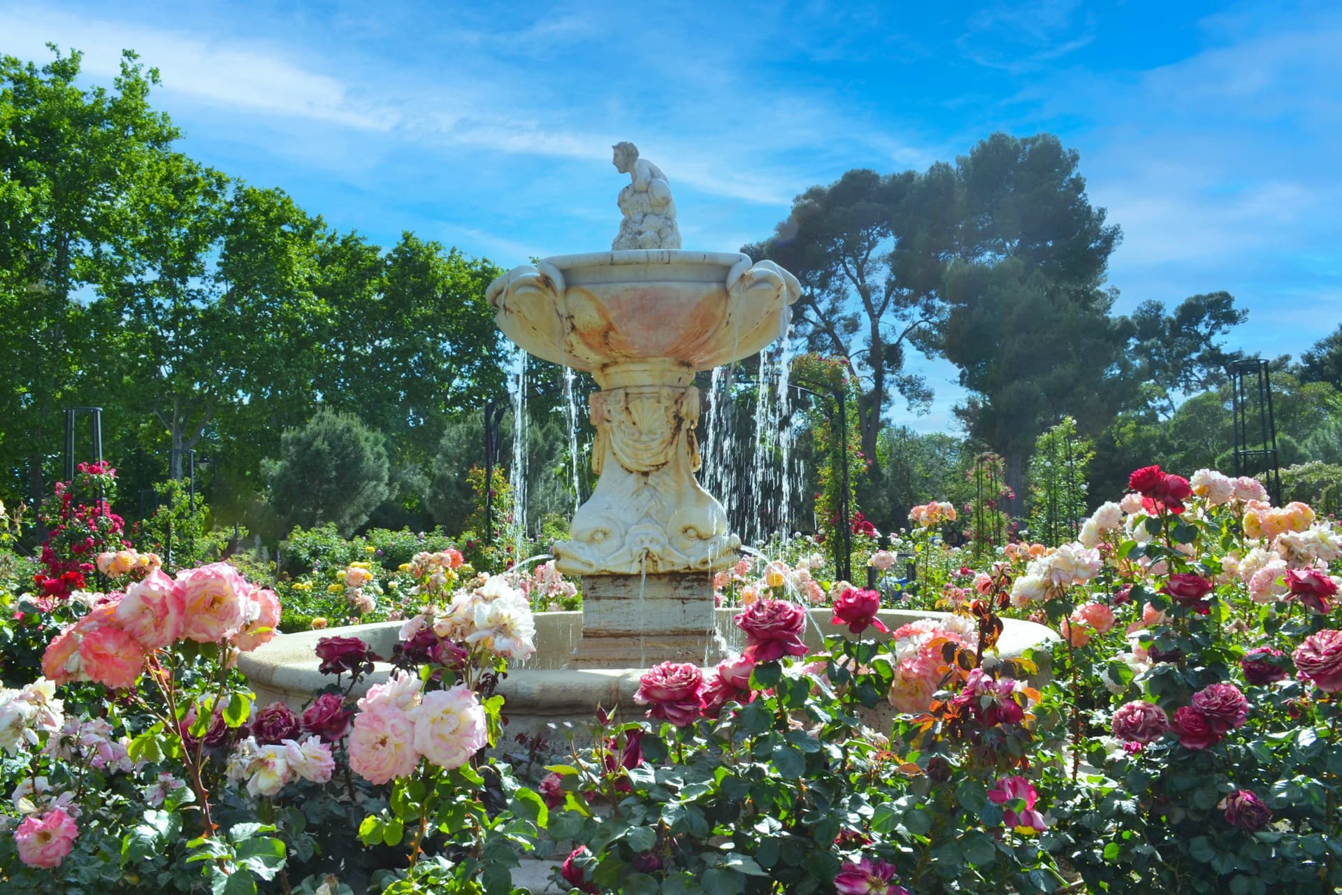 Spring blossoms near a fountain in Retiro Park, the green heart of the residential and leafy Retiro district.